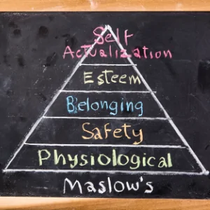 Maslows Hierarchy O f Needs To Highlight Why People Are Networking